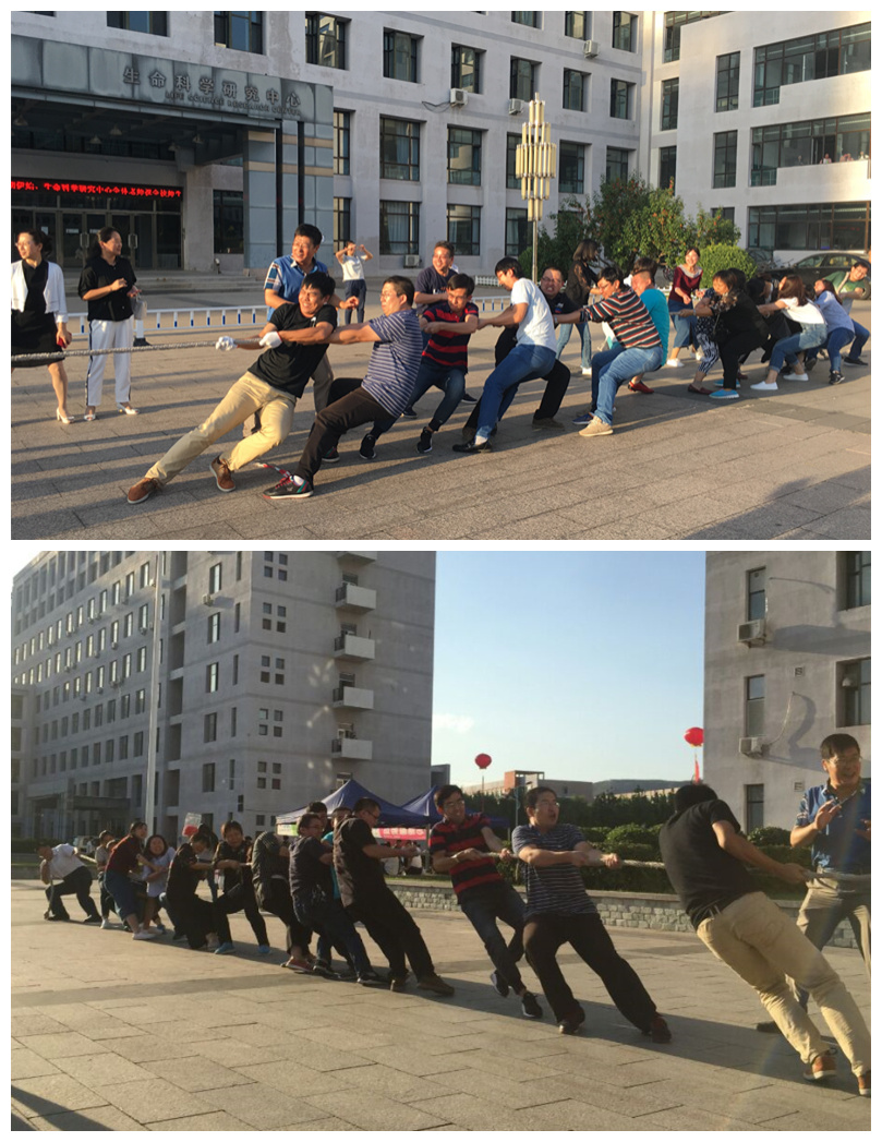 拔河比赛.jpg