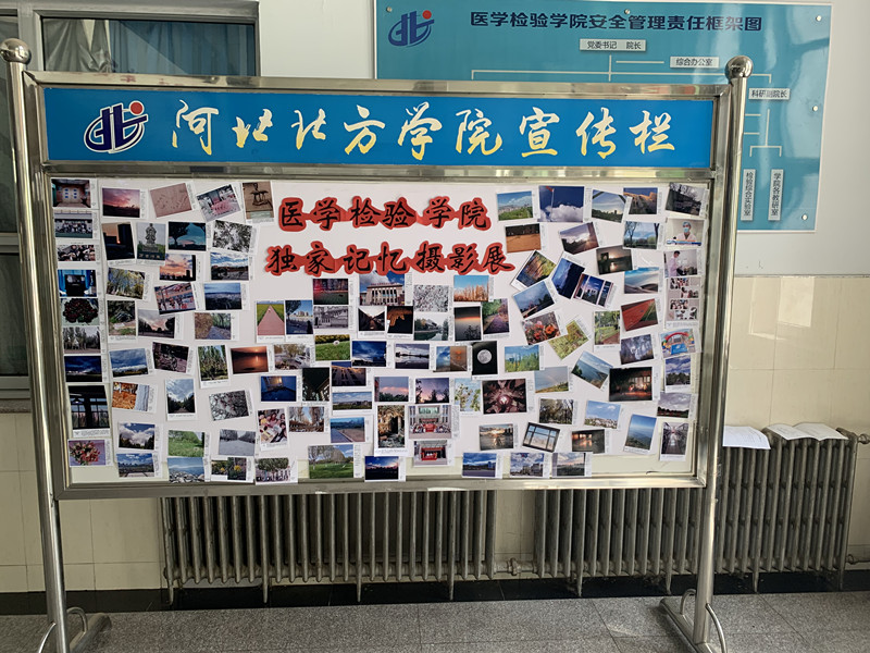 QQ图片20210527100918_副本.jpg